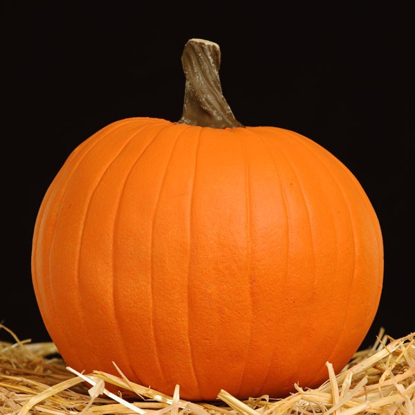 Masterpiece Pumpkins FUNKINS artificial carvable pumpkins