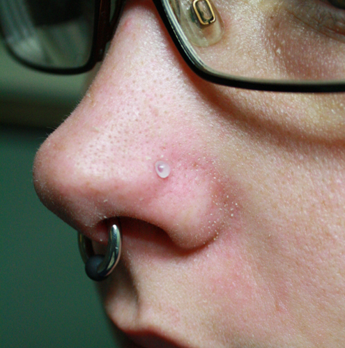 20G Bioflex Clear Nose Ring 2Mm Flat Top Retainer, Metal Free, Allergy Free - Walmart.com Nose Piercing Retainer - Master Piercing