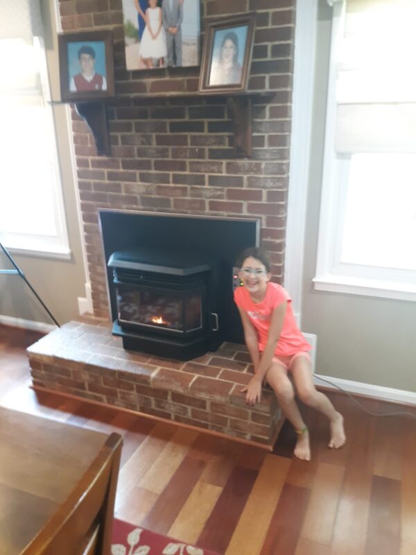 Kozi Baywin Series Pellet Insert Masters Chimney & Hearth