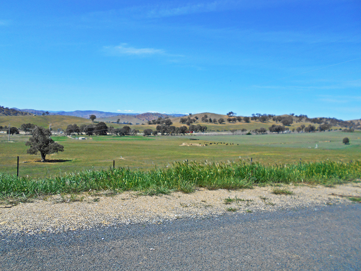 Real Estate for Sale in GUNDAGAI