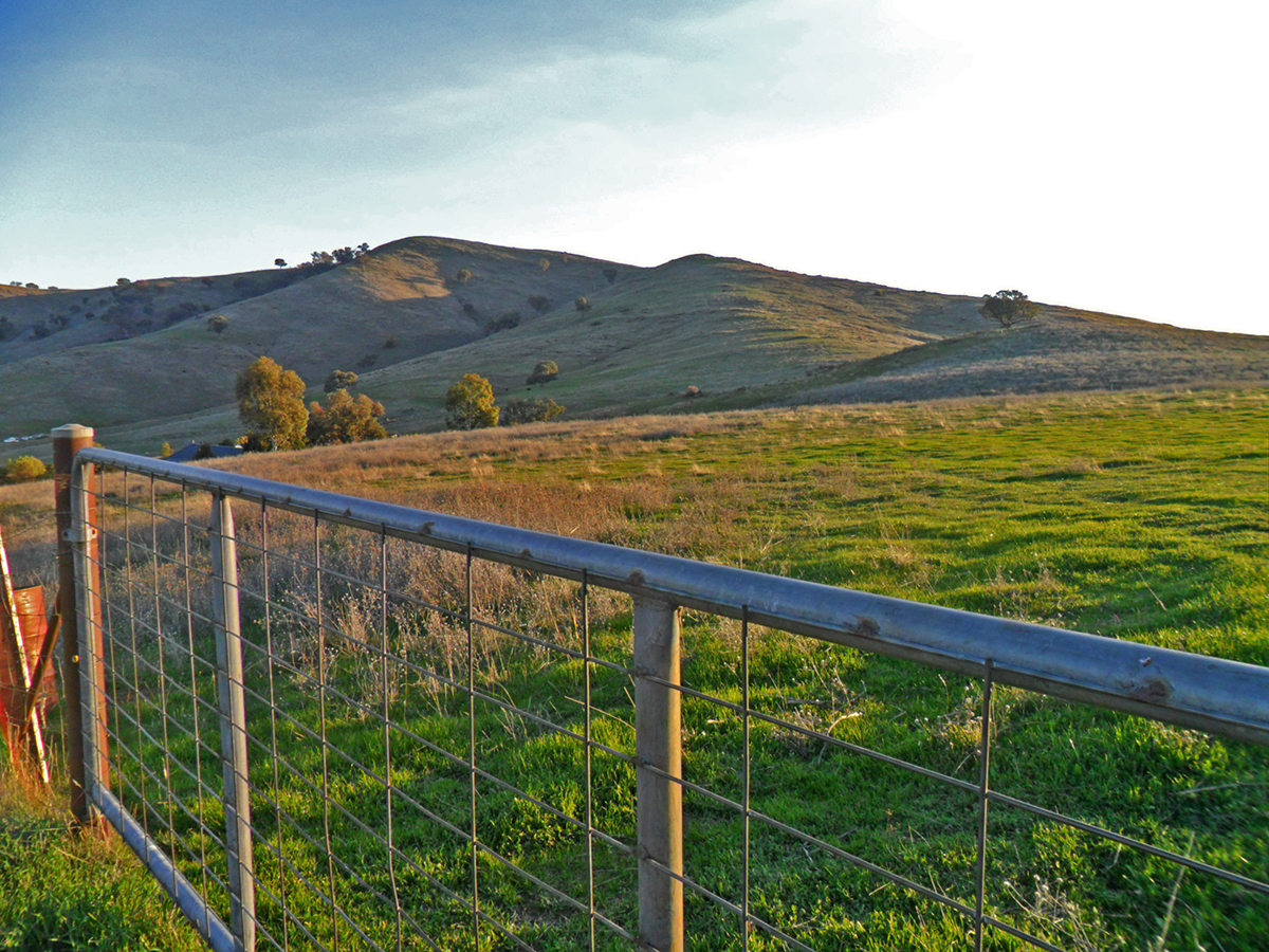 Real Estate for Sale in SOUTH GUNDAGAI