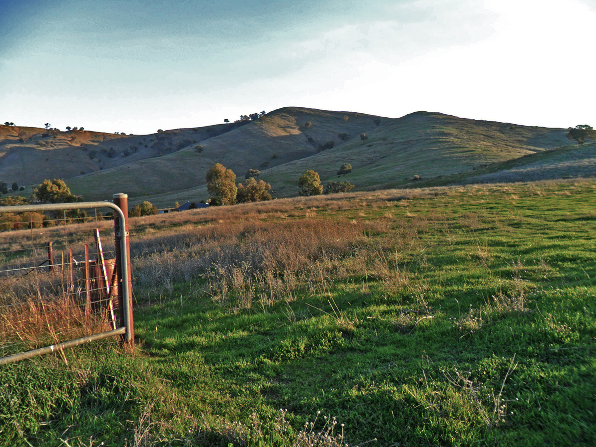 Real Estate for Sale in SOUTH GUNDAGAI