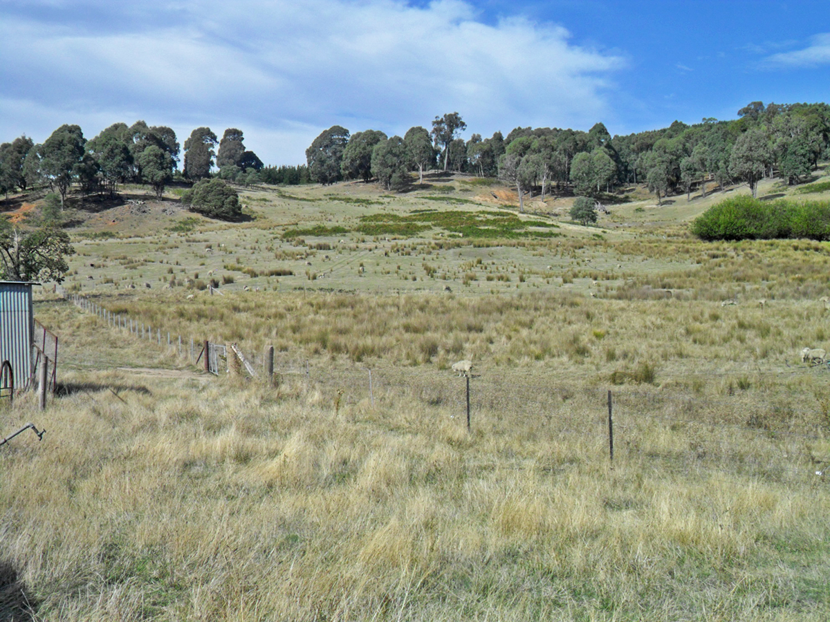 Real Estate for Sale in BATLOW