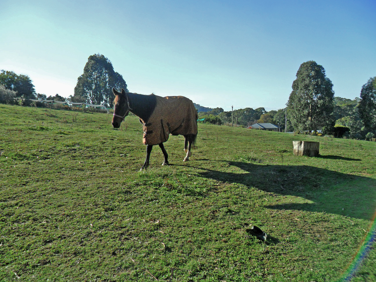 Real Estate for Sale in BATLOW