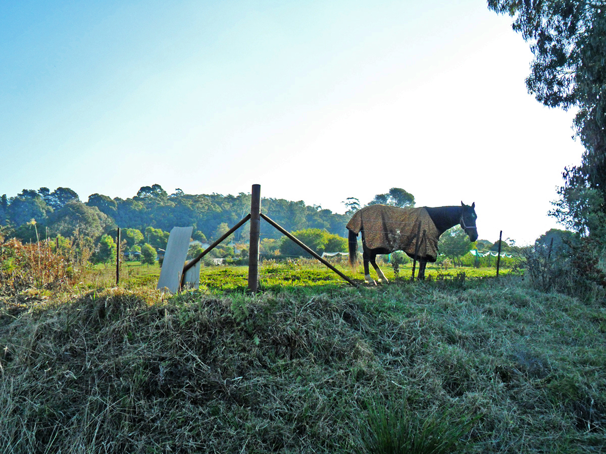 Real Estate for Sale in BATLOW