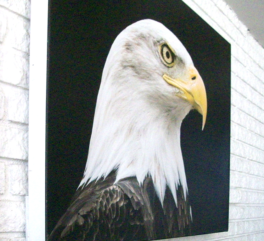 CANVAS STRETCHING SERVICE Master's Frame Shop