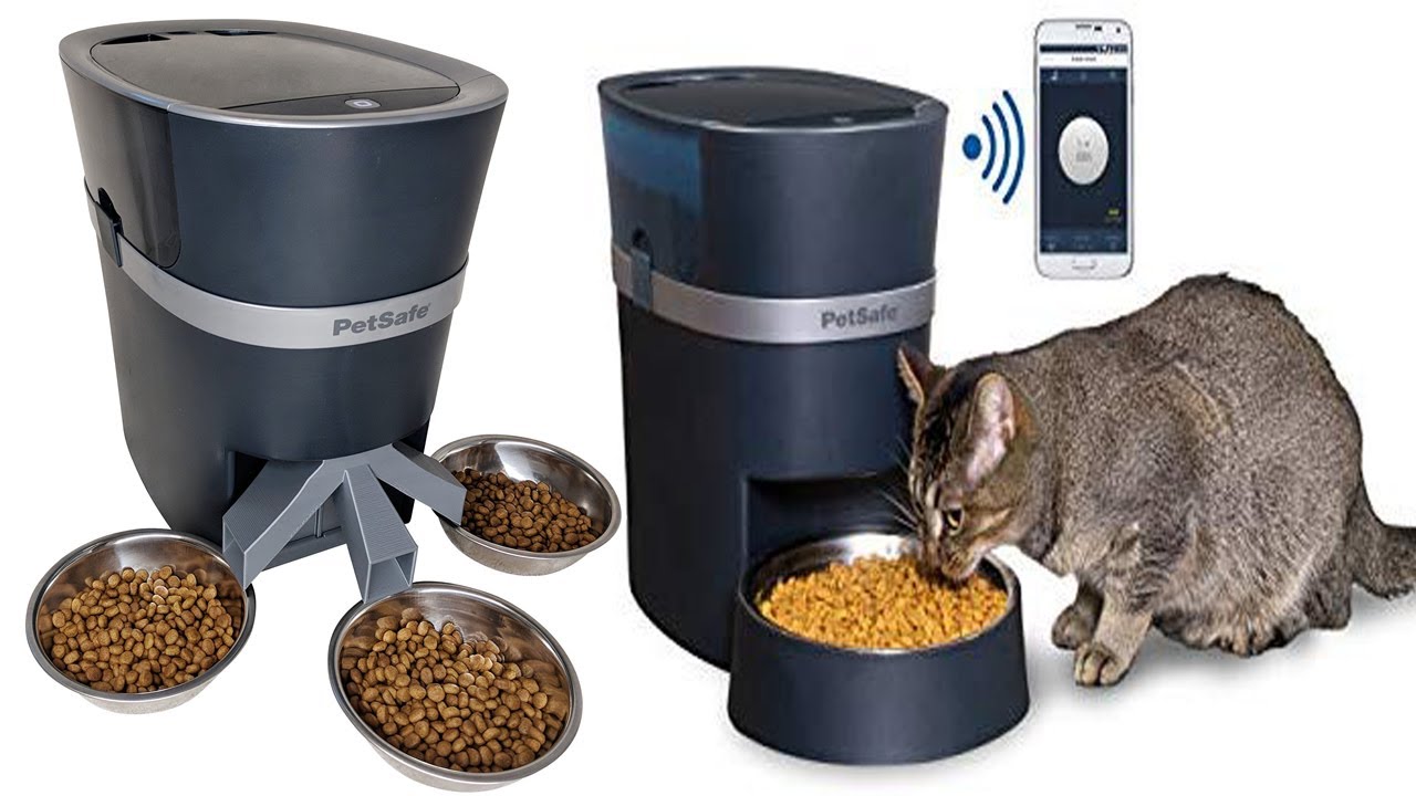 Top 5 Pet Gadgets You Should Have THE REVIEW GUIDE