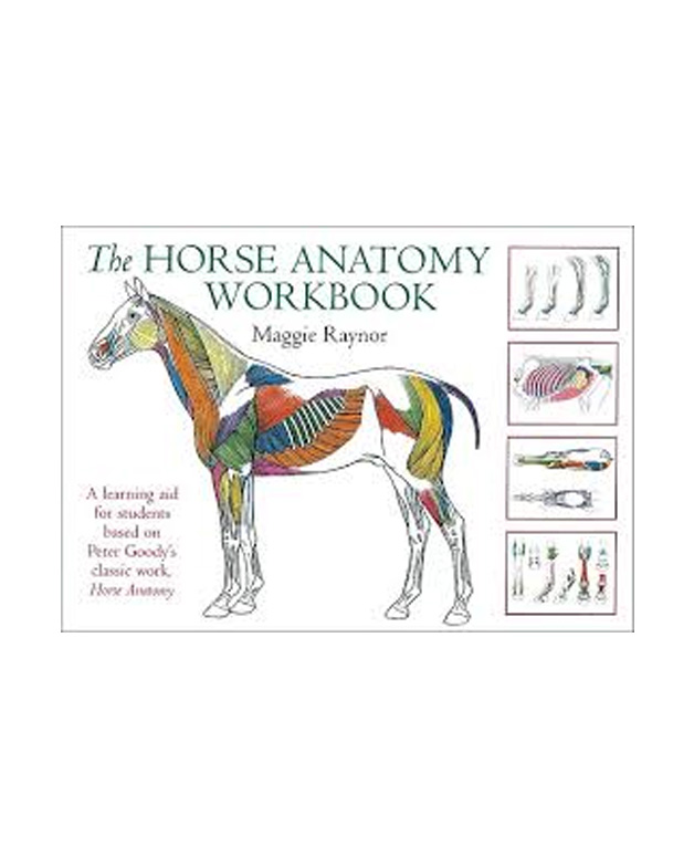 The Horse Anatomy Workbook Masterson Method