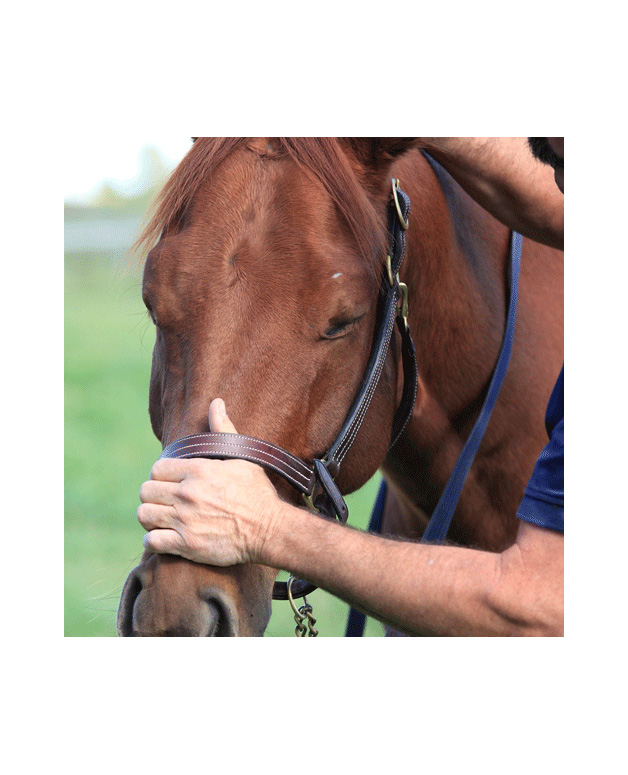 Circleville, NY Weekend Course, April 1213, 2025 with Jackie Kimmel