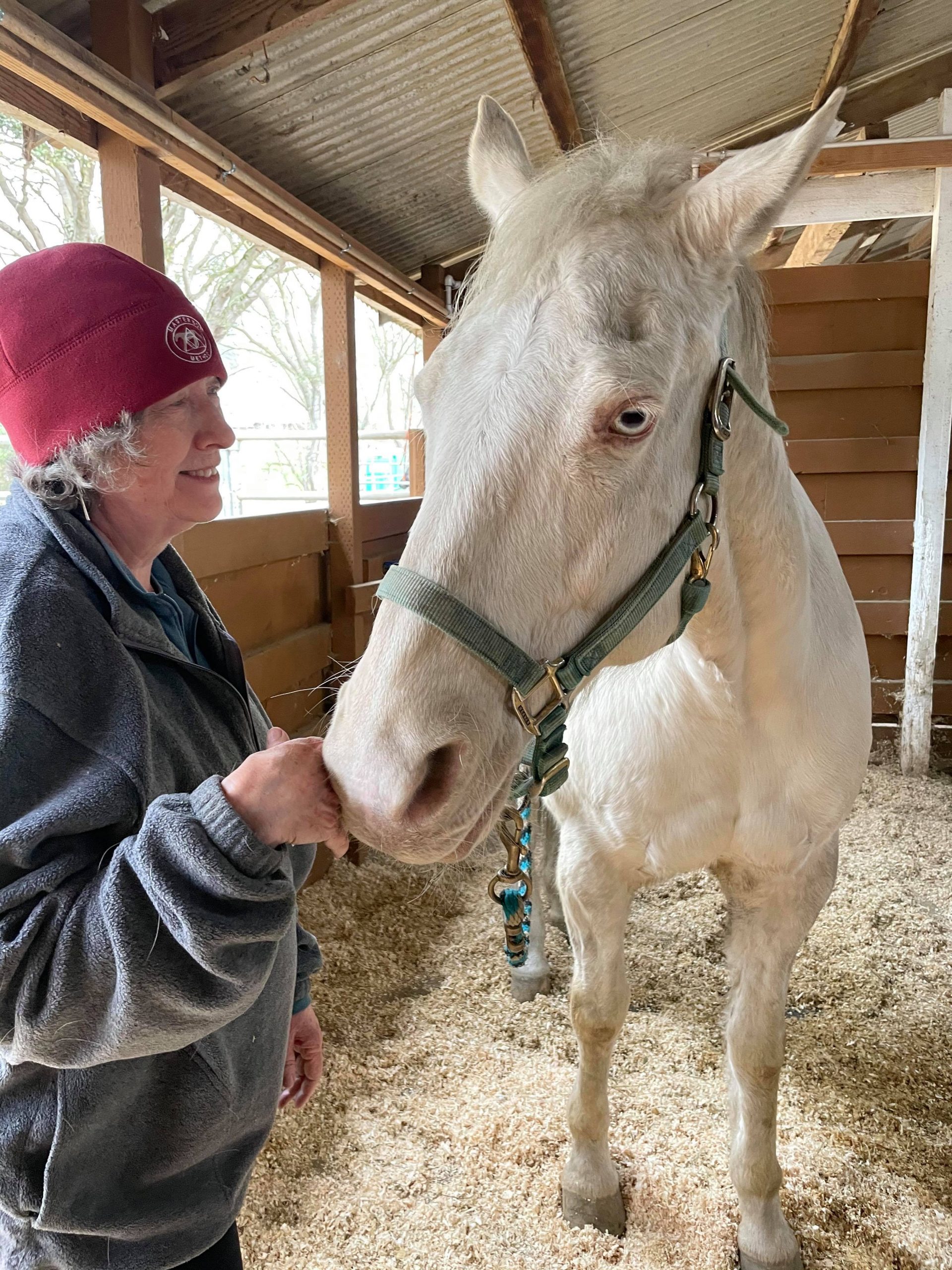 Discovering the Masterson Method Slowing Down Coming Home