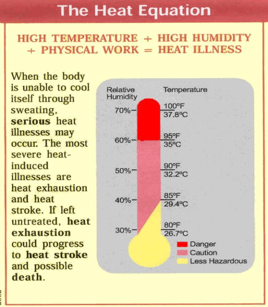 Facts on Summer Safety