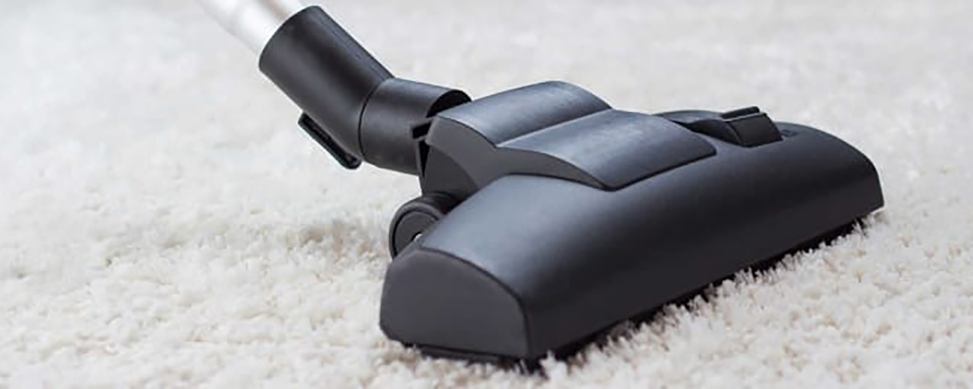 Carpet Mold Prevention Tips to Keep Your Carpet Mold Free