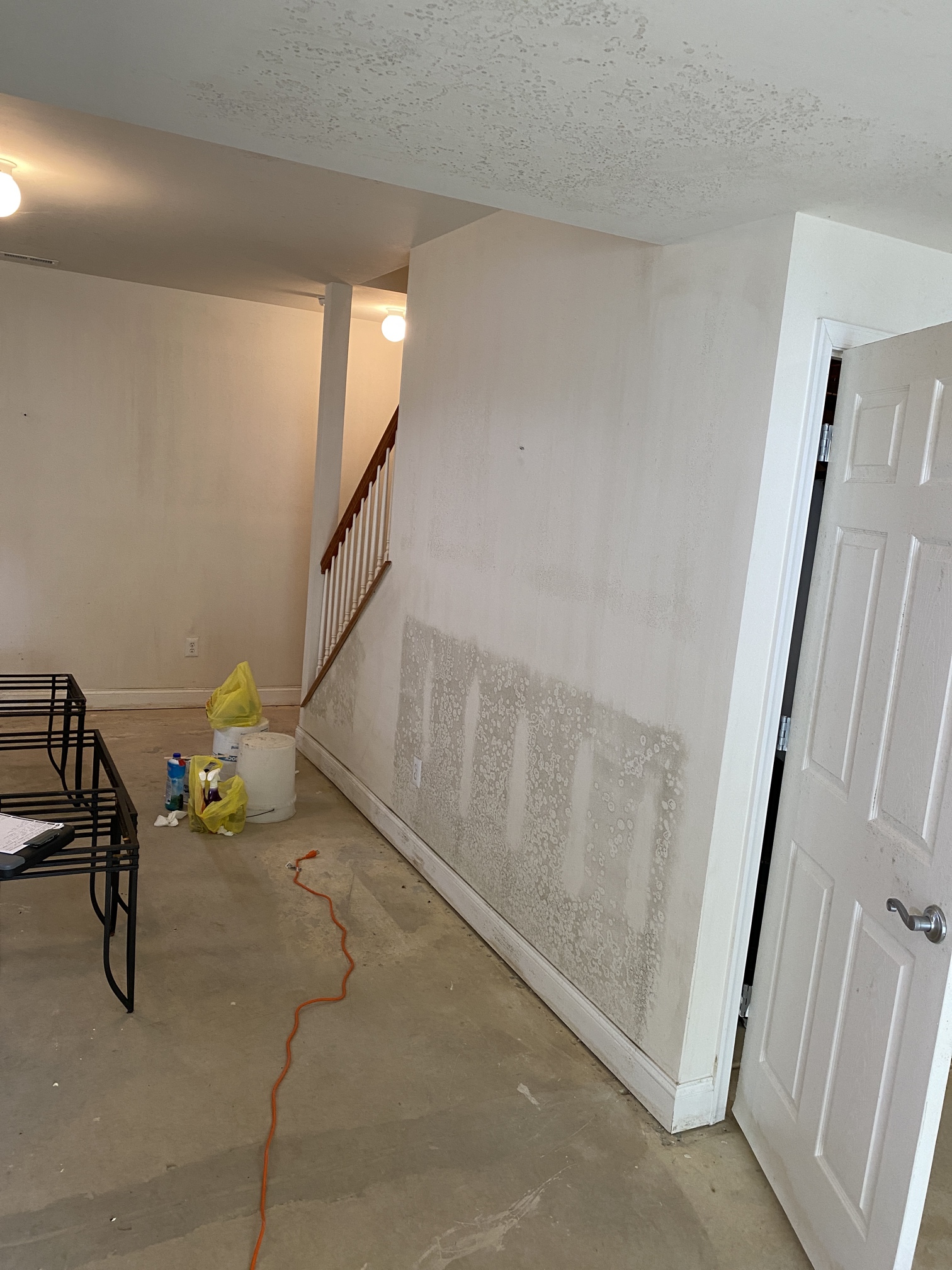 Mold In Closed Up Buildings Dealing With Mold In Unoccupied Properties