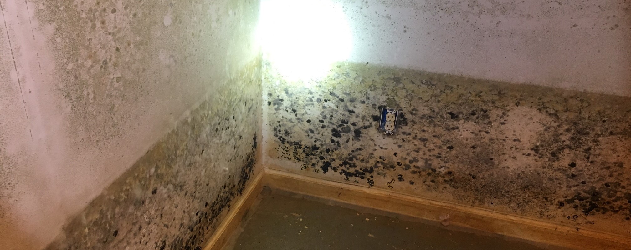 Mold In Closed Up Buildings Dealing With Mold In Unoccupied Properties