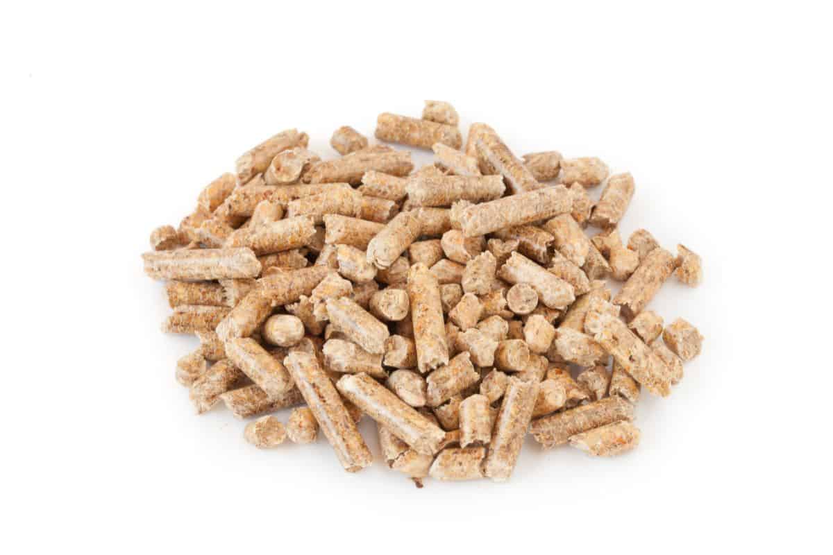 How To Store Traeger Pellets [No.1 Guide] Master The Flames