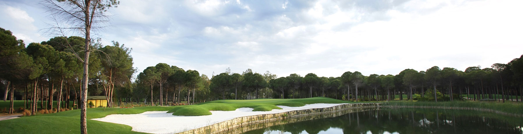 MasterTours Montgomerie Maxx Royal
