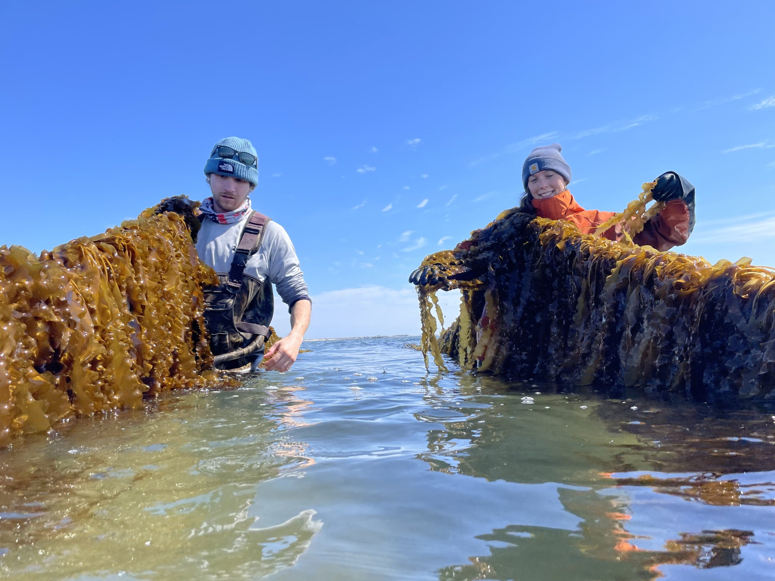Mastic Beach Conservancy