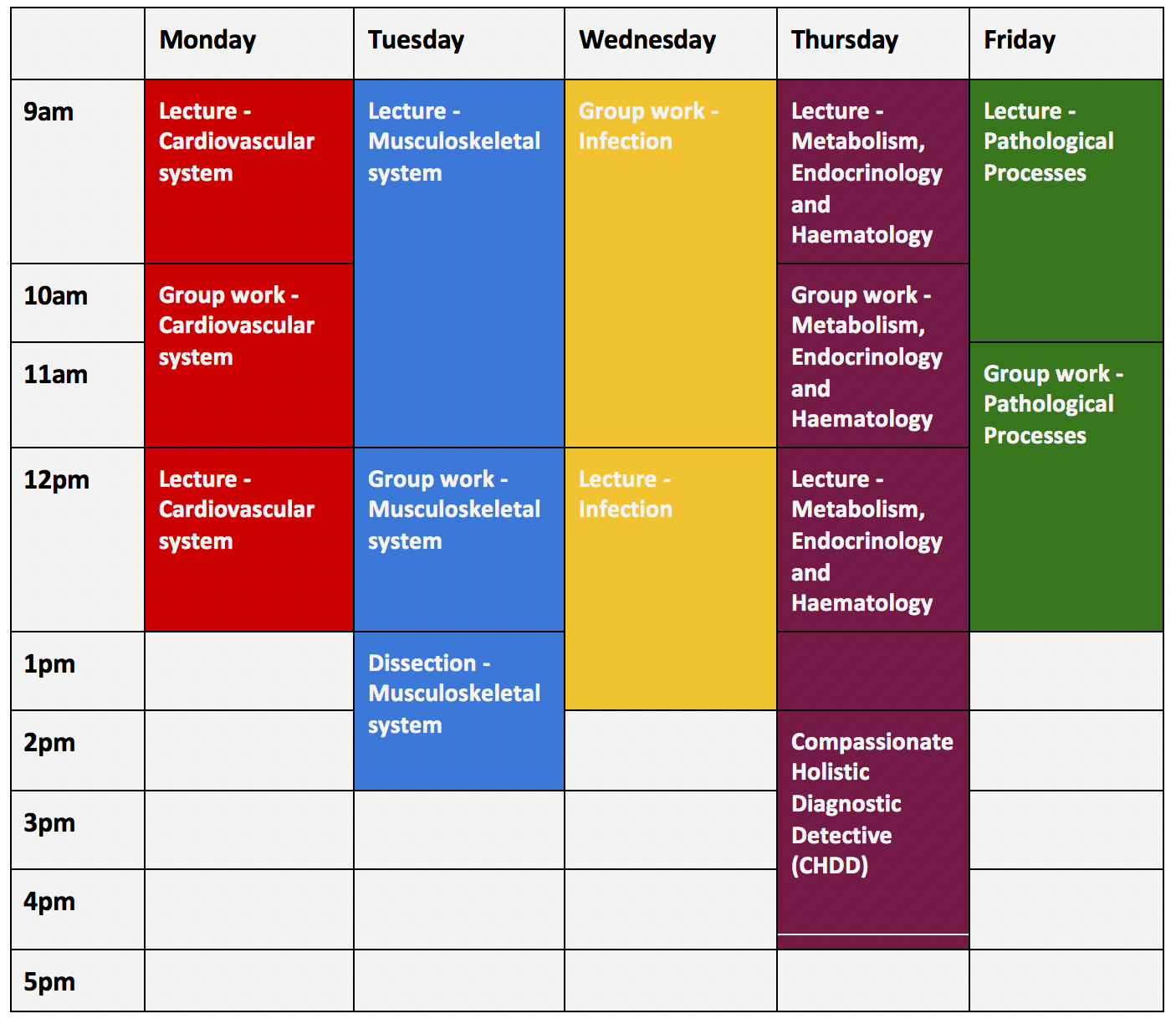 What’s it Really Like To Study Medicine at Leicester Medical School? Life of a Medic