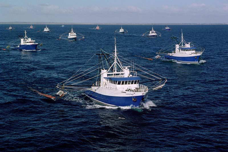 VesselMonitoringSystem Masverin