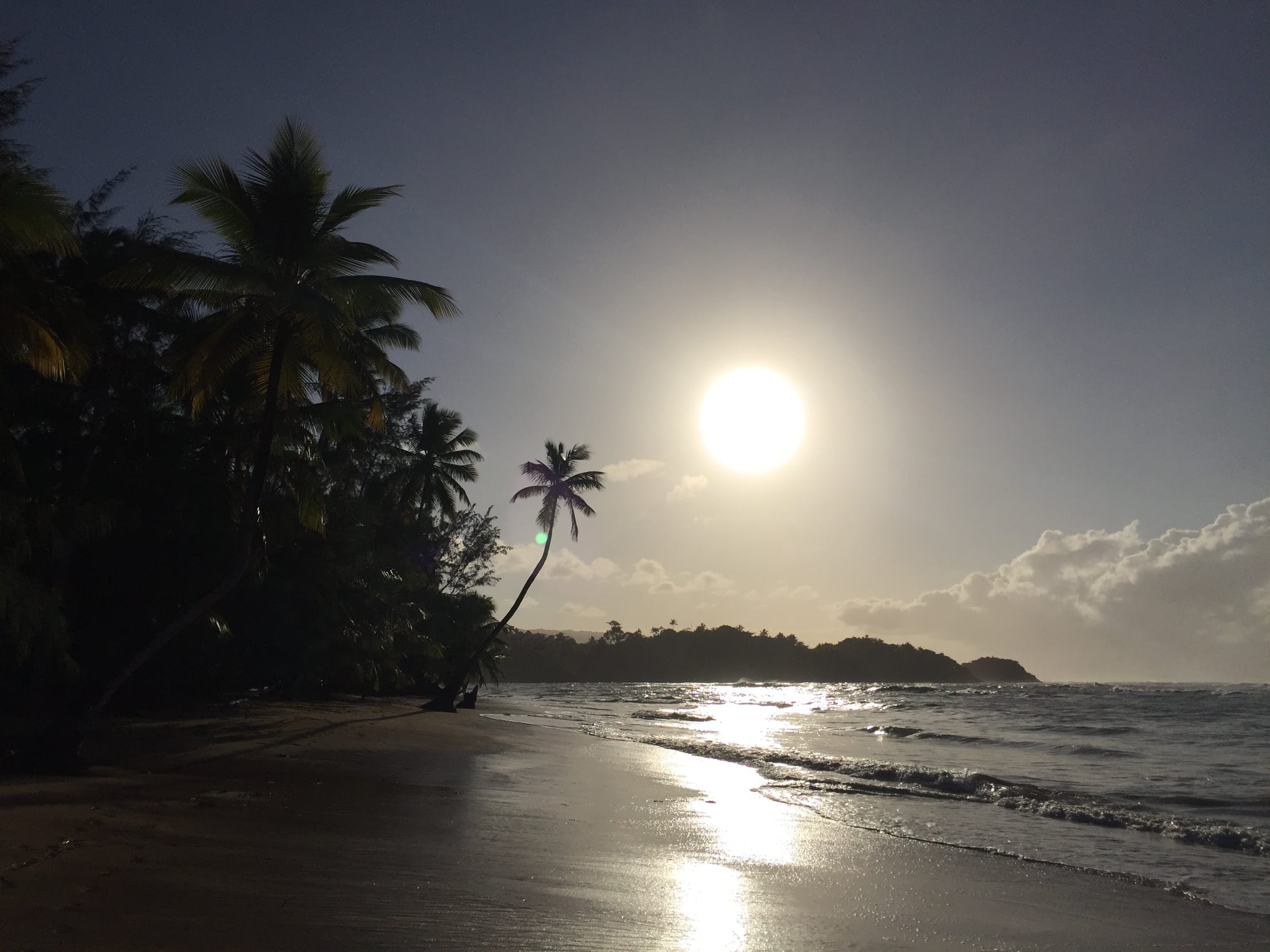 Z Santo Domingo do Las Terrenas Matalata