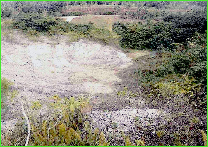 7337 BSP Mortgagee Sale 24 May 27 June 2023 Matangi Tonga