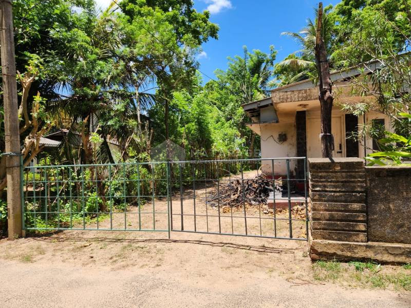 Prime Beachfront Land For Sale Tangalle Matarage Real Estate