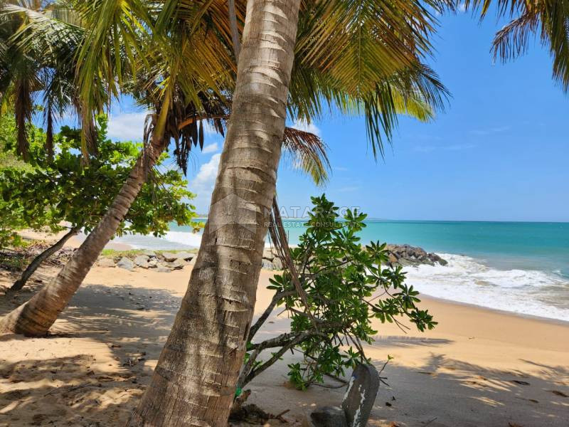 Prime Beachfront Land For Sale Tangalle Matarage Real Estate