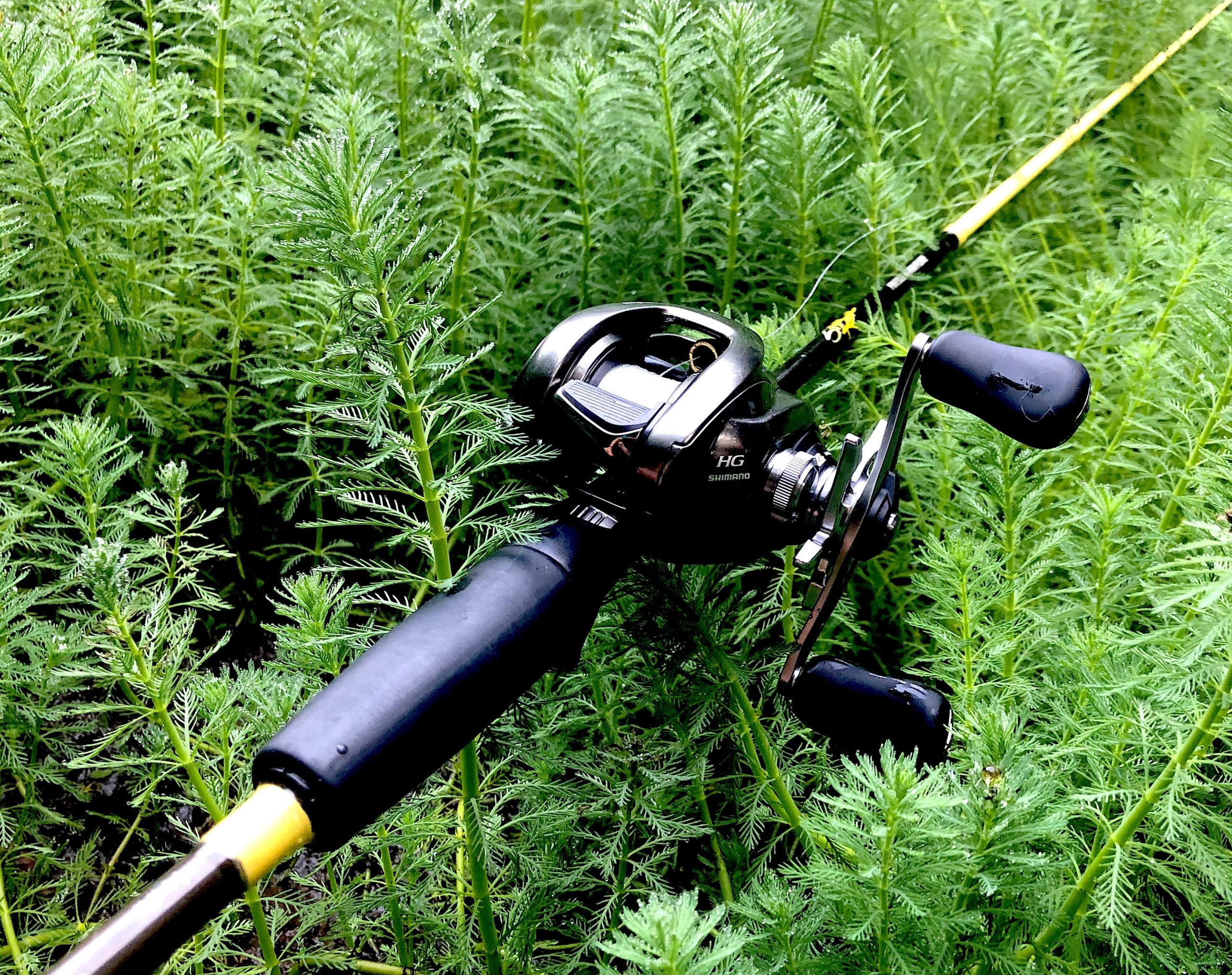 【初心者向け】バス釣り初心者の方は、無理して高いロッドを買う必要はありません。