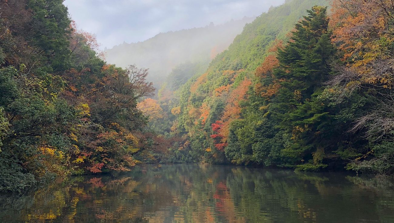 10月のバス釣り、野池攻略法。バスの動きの傾向、おすすめの釣り方、おすすめのルアーについて。