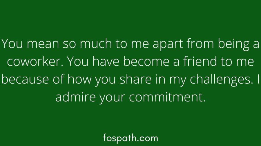 54 Words of Appreciation and Examples of Positive Things To Say About A