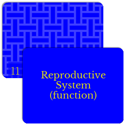 11 Body Systems Match The Memory