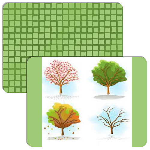 4 seasons in kindergarten Match The Memory