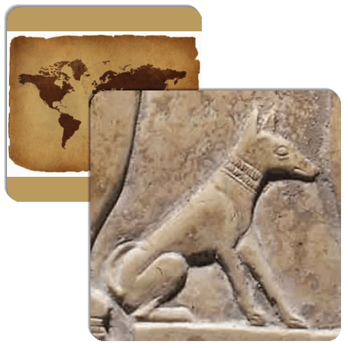 Ancient Dogs Match The Memory