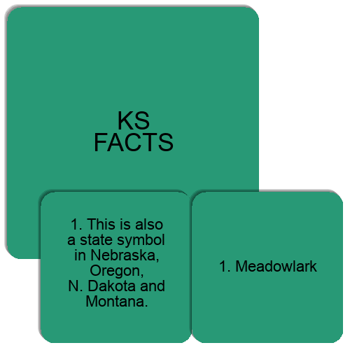 Kansas Symbols Facts Match The Memory