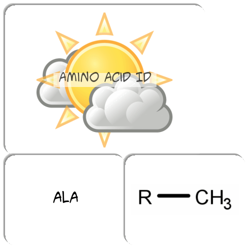 Amino Acid ID Match The Memory
