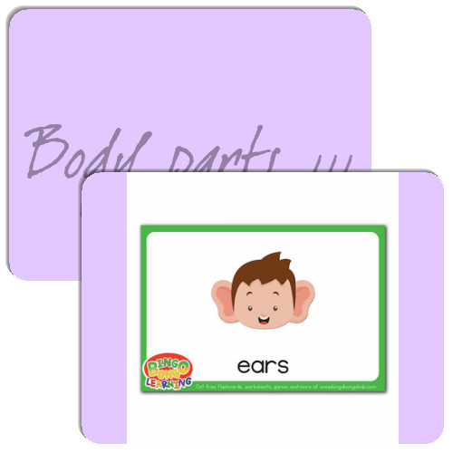Body parts 111 Match The Memory