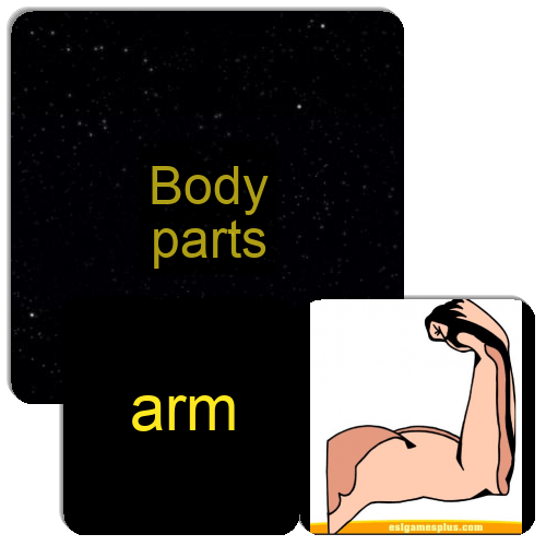 Body parts Match The Memory