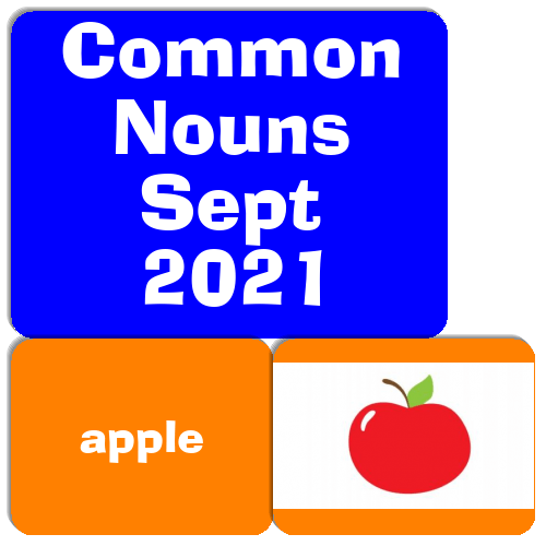 Common Nouns Sept 2021 Match The Memory