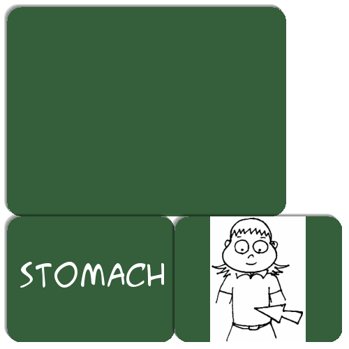 Body Parts Match The Memory