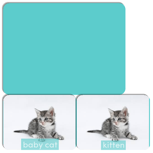 Baby Animals Match The Memory