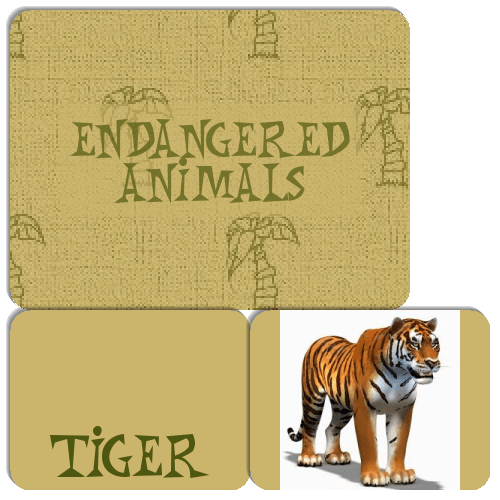 Endangered Animals Match The Memory