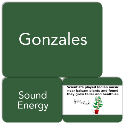 Gonzales Match The Memory