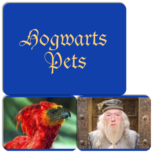 Azkaban Escapees Hogwarts Pets Match The Memory