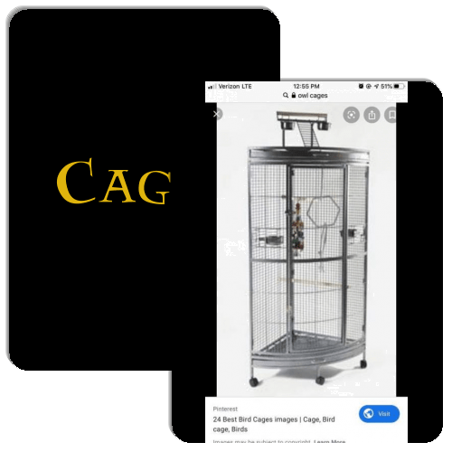 Owl Cages Match The Memory