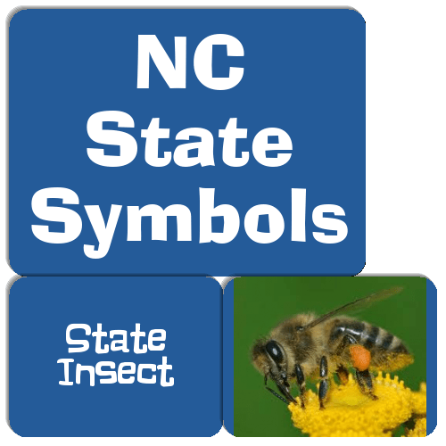 NC State Symbols Match The Memory