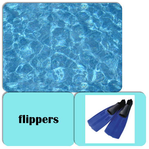 Water Sports Equipment Match The Memory