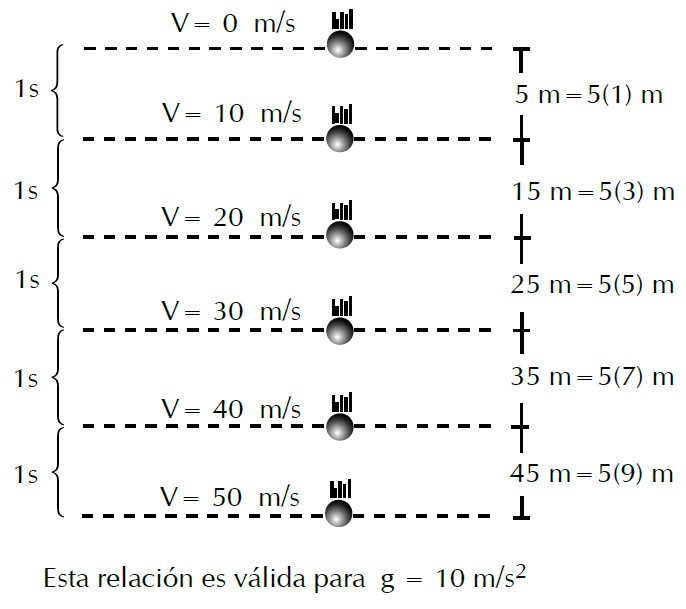 Arriba 100+ Foto Ejercicios De Caida Libre Resueltos Paso A Paso Cena