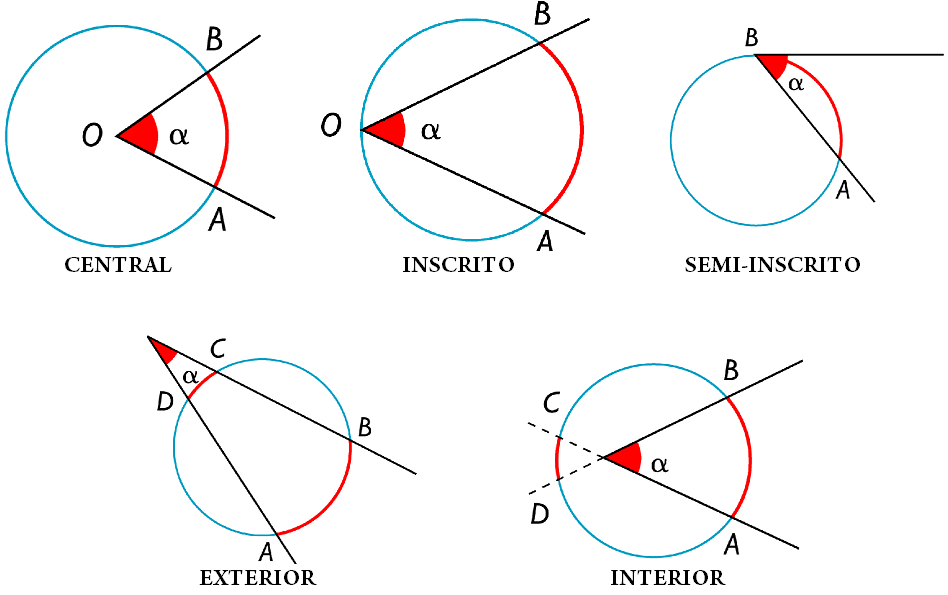 Ángulos en la circunferencia
