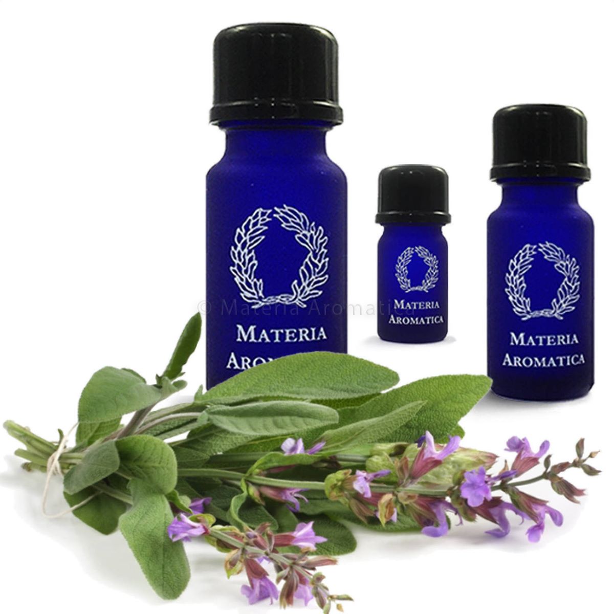 Clary Sage Materia Aromatica