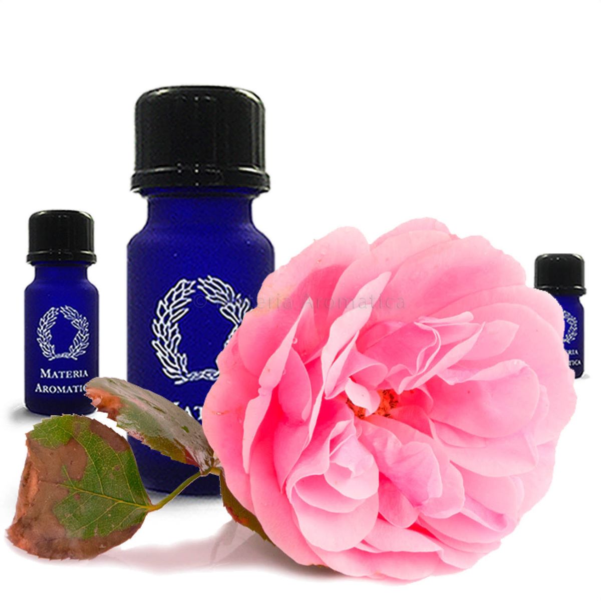 Rose Otto Materia Aromatica